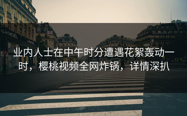 业内人士在中午时分遭遇花絮轰动一时,樱桃视频全网炸锅,详情深扒