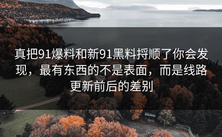真把91爆料和新91黑料捋顺了你会发现，最有东西的不是表面，而是线路更新前后的差别